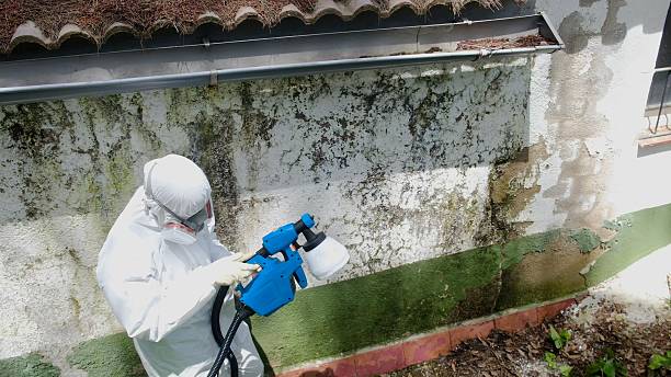Top rated local Commercial Mold Remediation specialists in McClure, PA